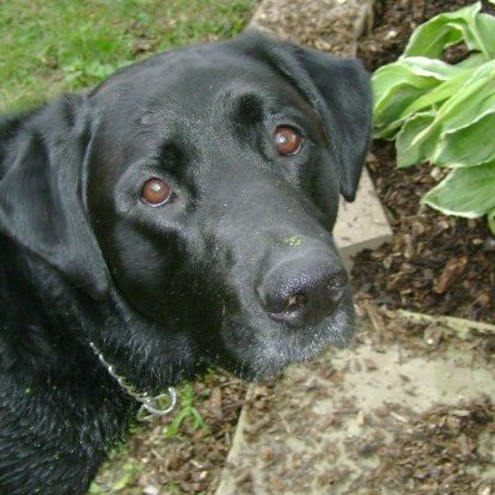 Meet your Posher, Therese